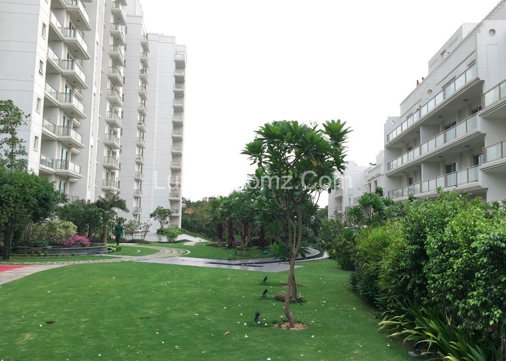 DLF-Kings-Court-Greater-Kailash-2-South-South-Delhi