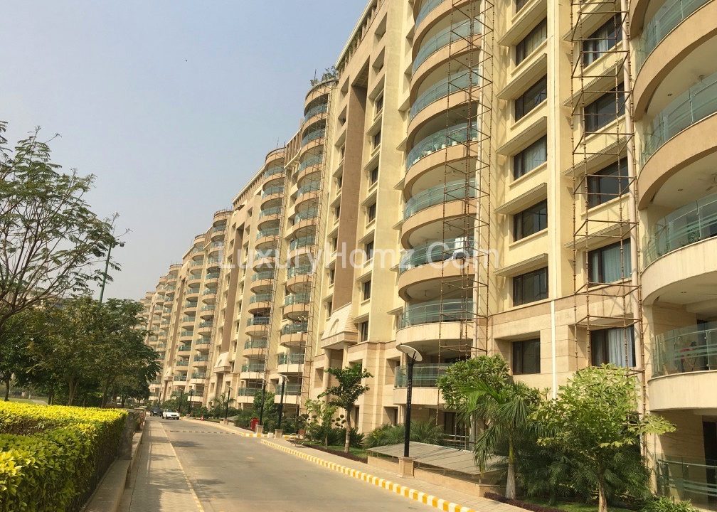 Ambience-Caitriona-DLF-City-Phase-3-Sector-24-Gurugram-Haryana