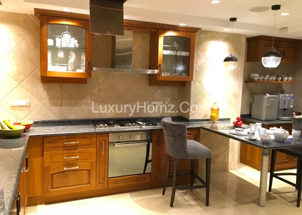 Penthouse-Ambience-Caitriona-DLF-City-Phase-3-Sector-24-Gurugram-Haryana