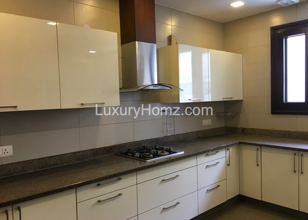 Ground-Basement-West-End-Colony-Delhi