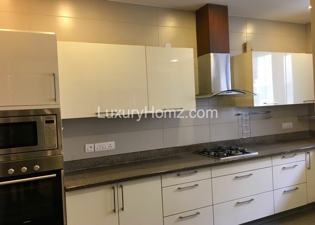 Ground-Basement-West-End-Colony-Delhi