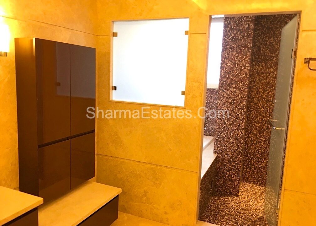 4-BHK-Shanti-Niketan-South-Delhi-Third-Floor-Terrace