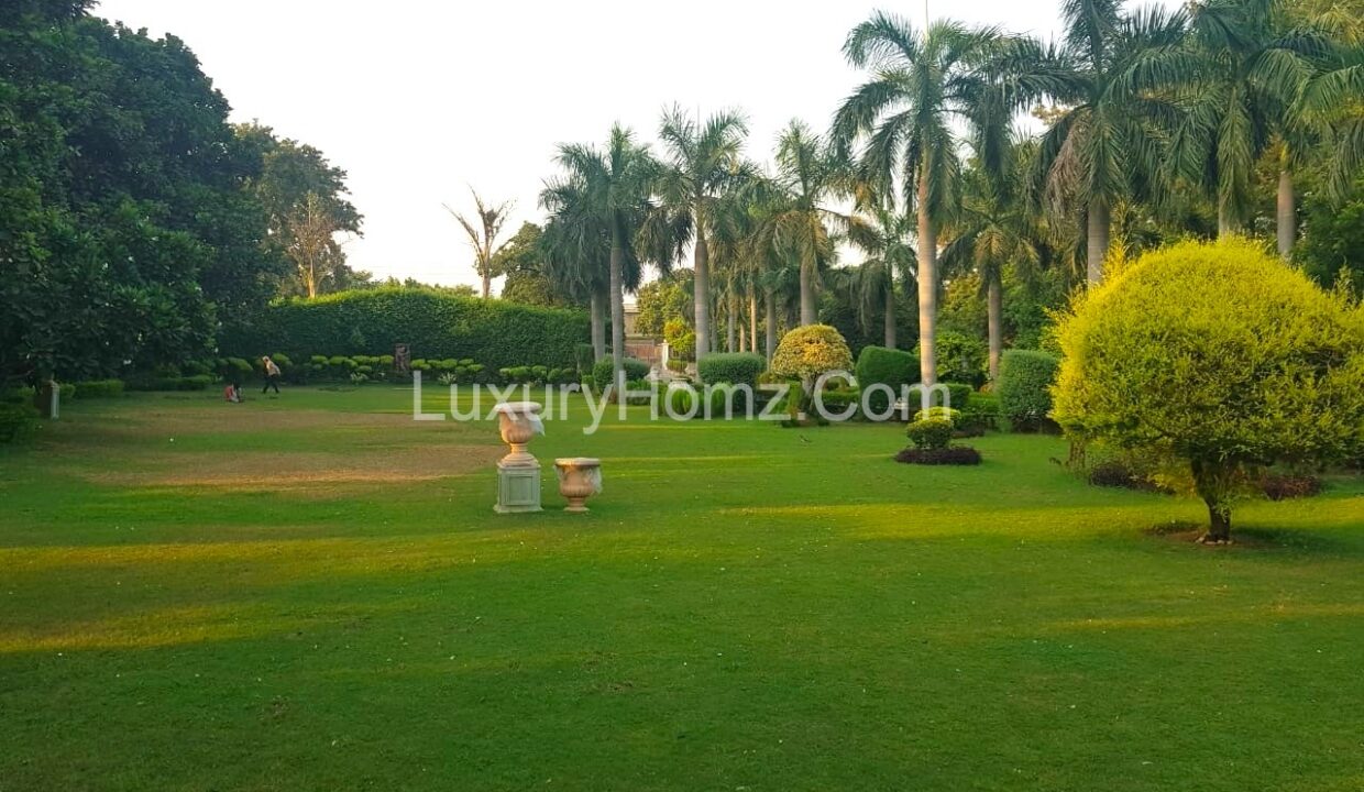 Luxury-Farmhouse-For-Sale-Green-Avenue-Vasant-Kunj-New-Delhi