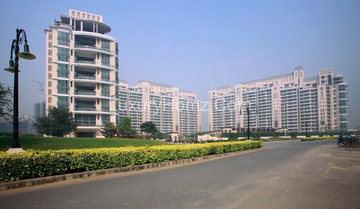 DLF-Aralias-DLF-Phase-5-Sector-42-Golf-Course-Road-Gurgaon