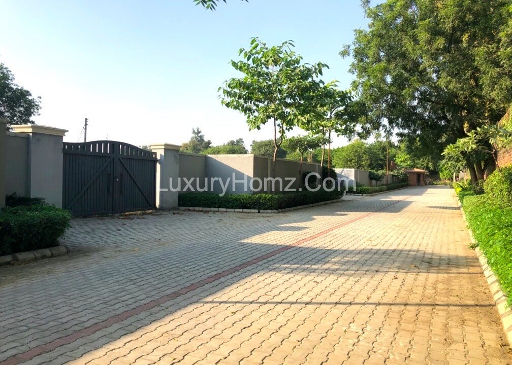 Luxury-Farmhouse-For-Sale-Green-Avenue-Vasant-Kunj-New-Delhi