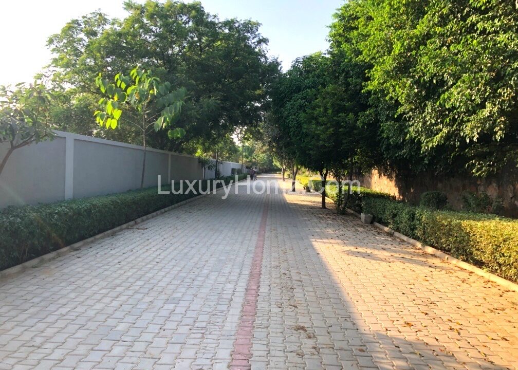 Luxury-Farmhouse-For-Sale-Green-Avenue-Vasant-Kunj-New-Delhi